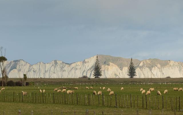 Mountains