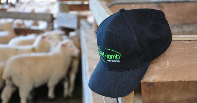 image of B+LNZ branded hat infront of sheep yard