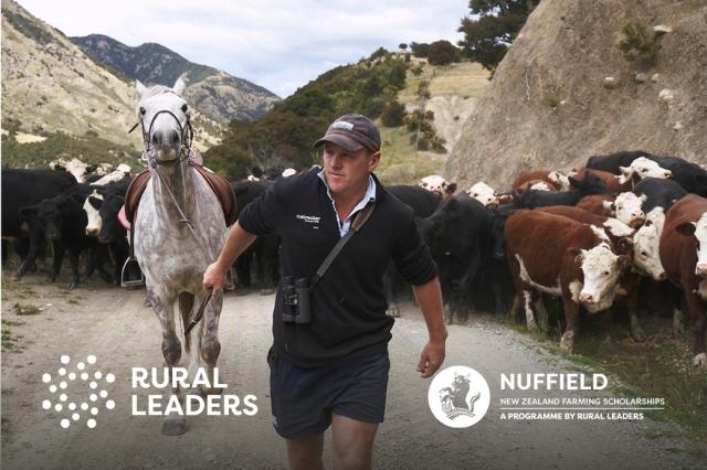Nuffield scholar marketing image man with horses