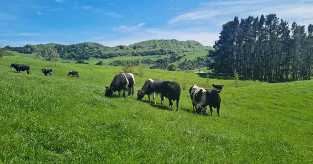 image of Blueridge farm