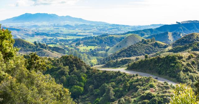 image of farmland and road running to Raglan in Waikato