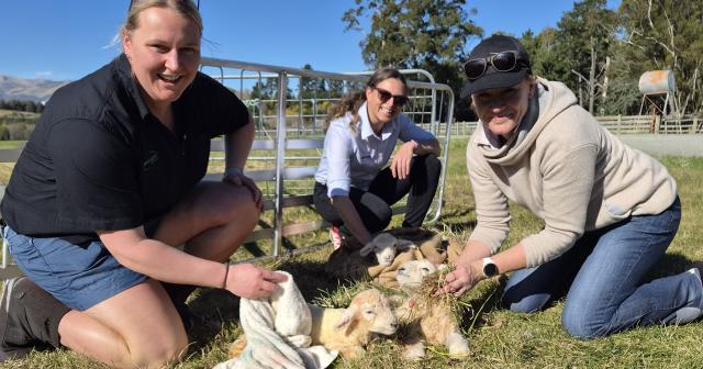 image of Annabel, Sarah and Ginny with newborn lambs