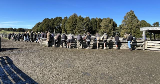 image of shepherds at training day