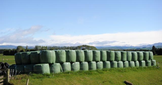 image of feed bales