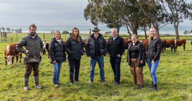 image of cool beef team on farm infront of cows