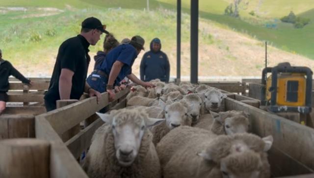Ram buying 