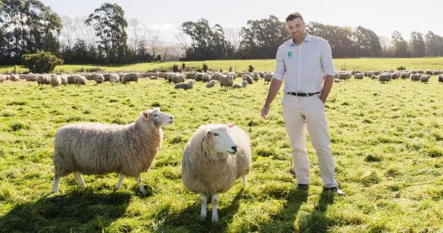 Image of Ryan with two sheep