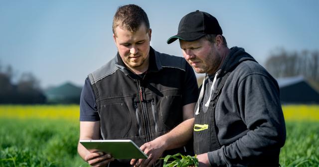 image of two farms looking at ipdad