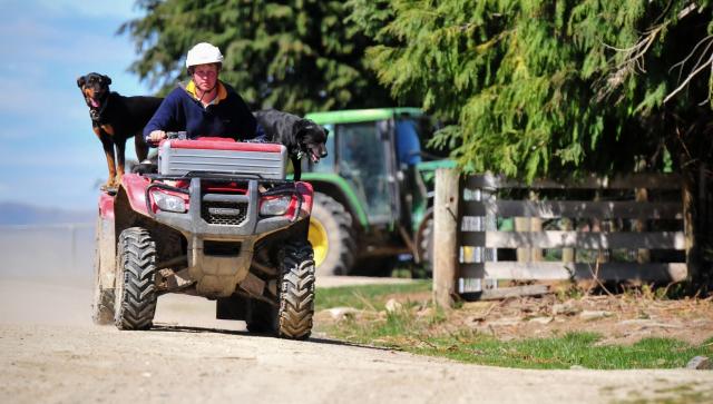 image of farmer and dog on quad bike