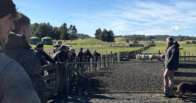 image of Shepherd Training on farm 