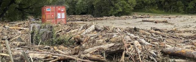 image of forestry debris