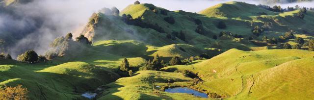 environment environment