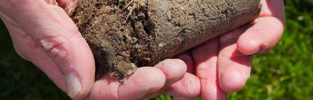 Image of soil in hands