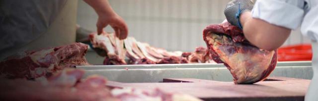 meat processing Image of meat processing