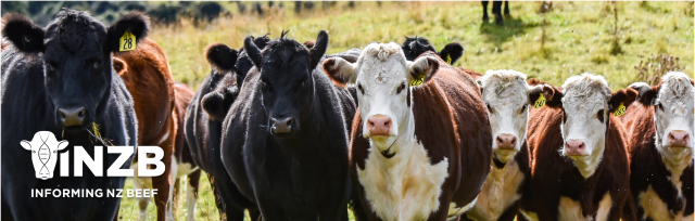 Informing New Zealand Beef banner with logo