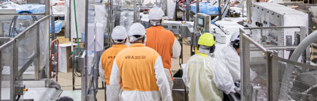 meat processing meat processing