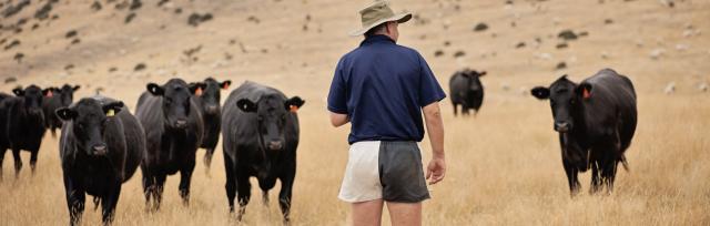 farmer herd farmer herd