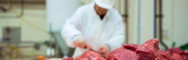 meat processing meat processing