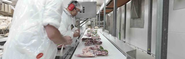 meat processing