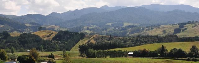 image of mixed plantings 