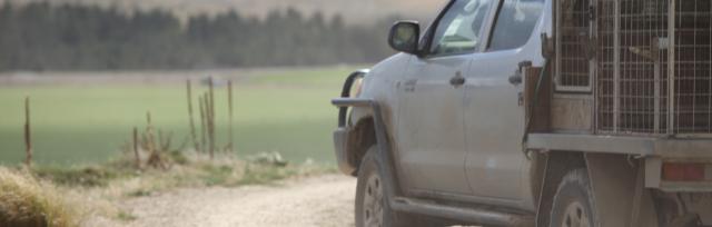 dusty road dusty road