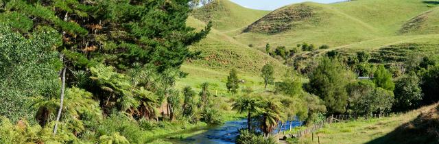 Image of river through Waikato farm.