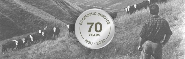 economic service economic service