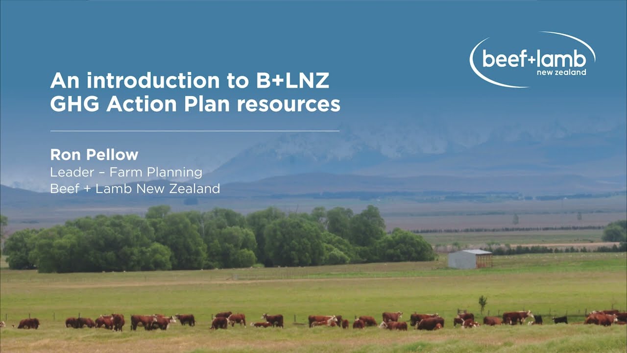 Beef + Lamb New Zealand 's GHG Plan resources | Beef + Lamb New Zealand