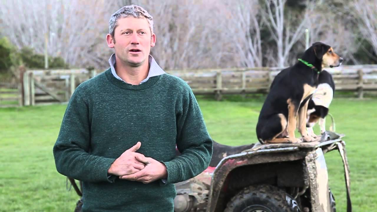 Resources help grow farming business | Beef + Lamb New Zealand